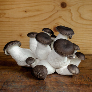 Black Pearl Mushrooms